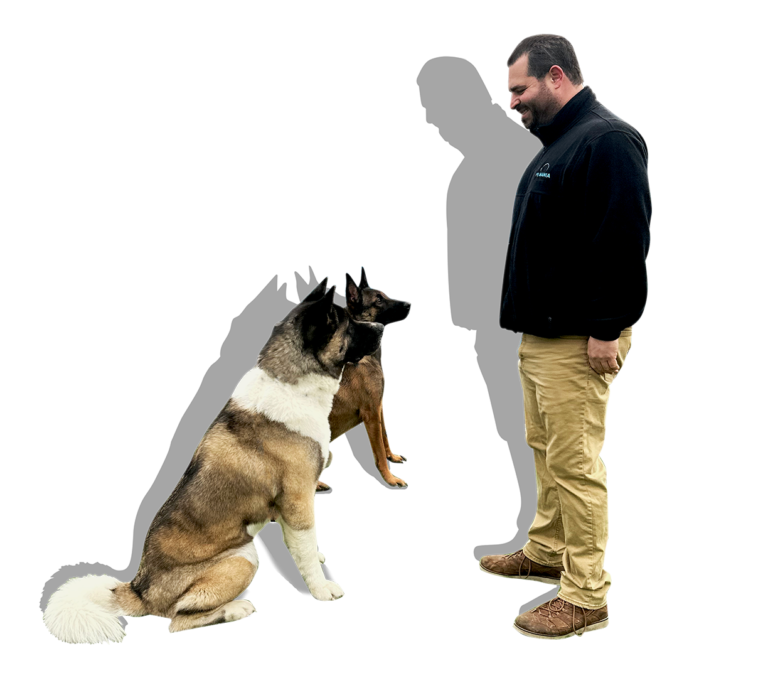 K9 Mania Dog Trainer Academy A Certified Dog Trainer