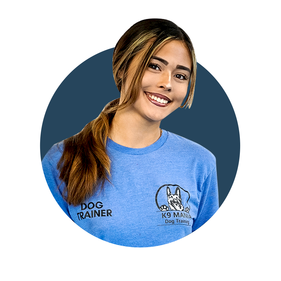 K9 Mania Dog Trainer Academy A Certified Dog Trainer
