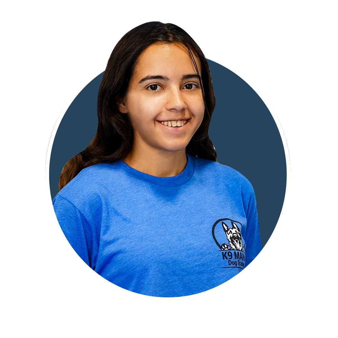 K9 Mania Dog Trainer Academy A Certified Dog Trainer