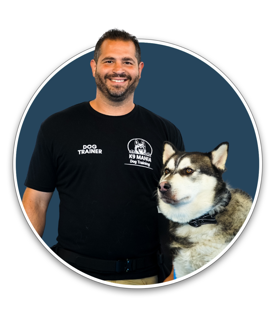 K9 Mania Dog Trainer Academy A Certified Dog Trainer