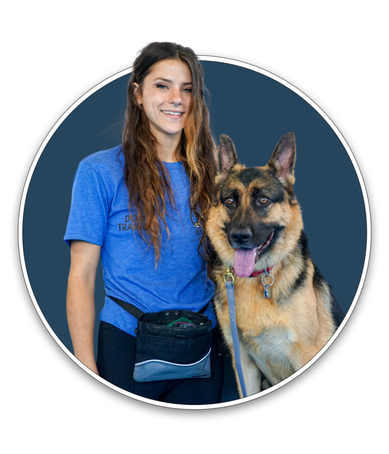 K9 Mania Dog Trainer Academy A Certified Dog Trainer