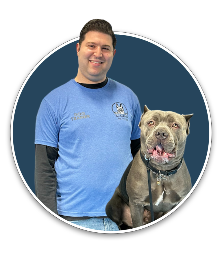 k9-mania-dog-trainer-academy-become-a-certified-dog-trainer