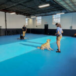 K9-Mania-Dog-Training-Facility-Inside-5-1024x672