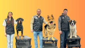 how to become a certified dog trainer