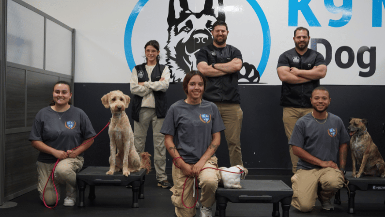 Benefits Of Becoming A Certified Dog Trainer
